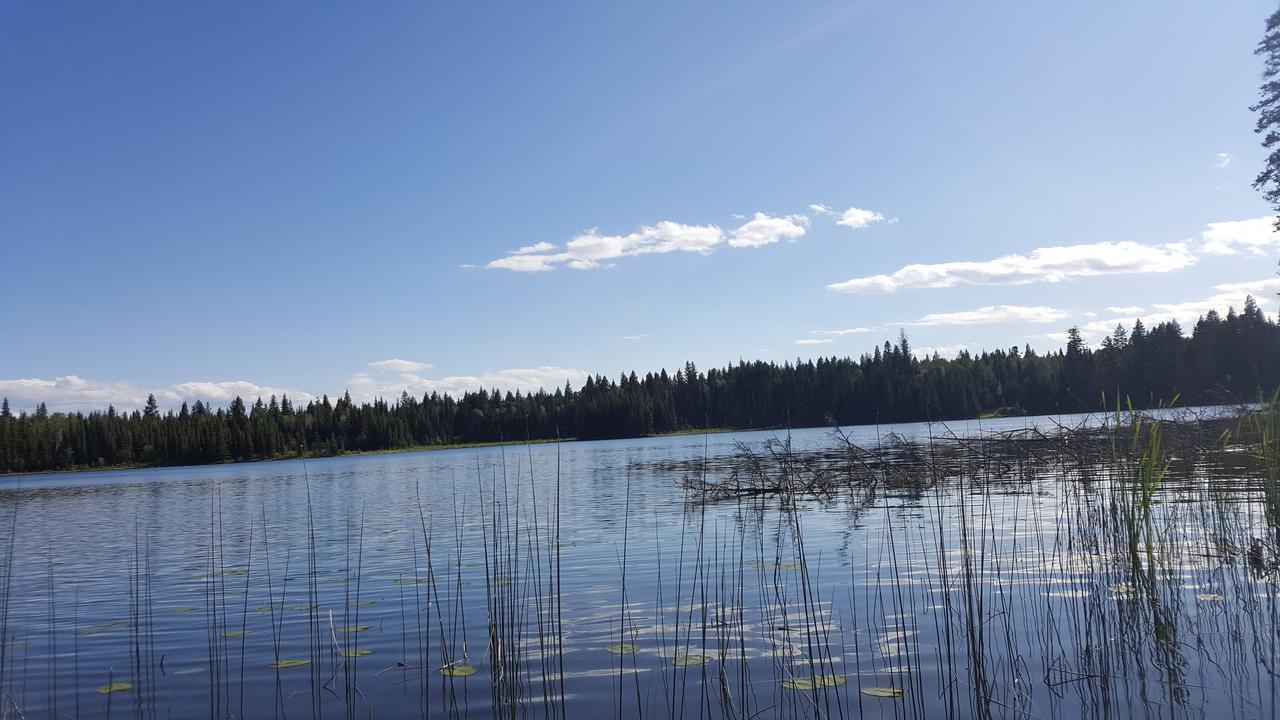 مبيت وإفطار Bridge Lake Wettstone Guest Ranch المظهر الخارجي الصورة
