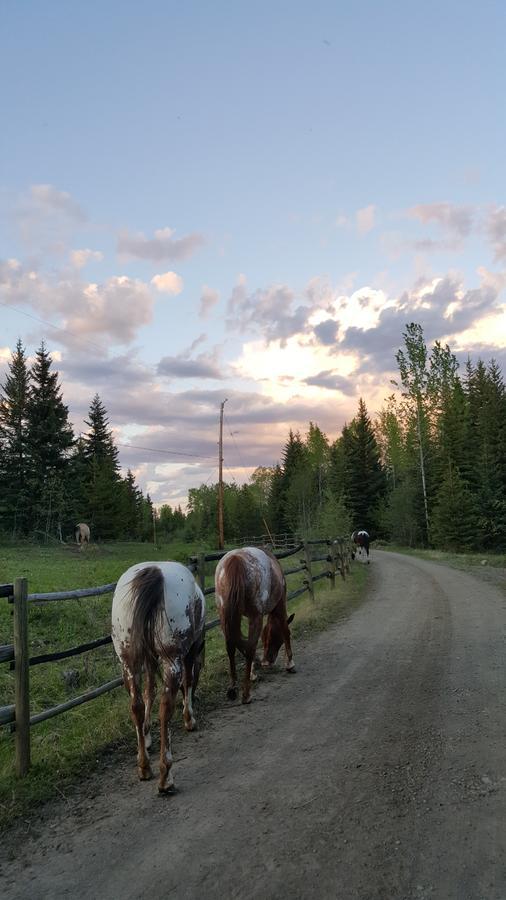مبيت وإفطار Bridge Lake Wettstone Guest Ranch المظهر الخارجي الصورة