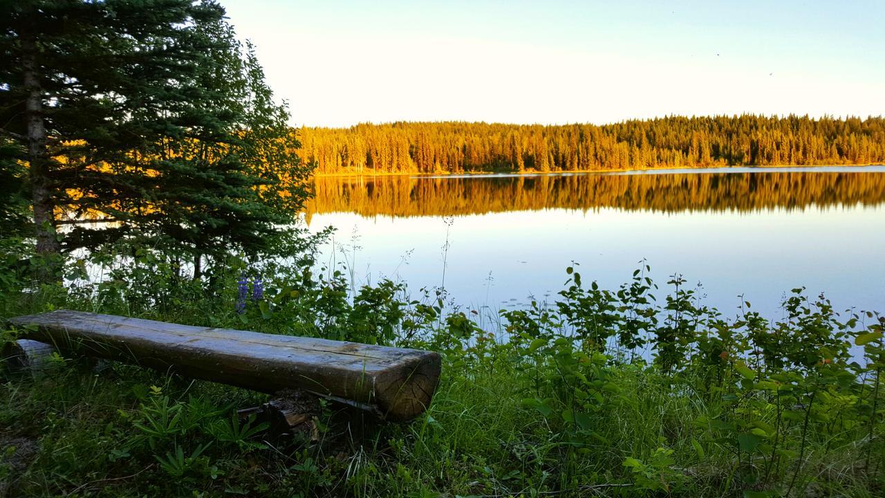 مبيت وإفطار Bridge Lake Wettstone Guest Ranch المظهر الخارجي الصورة