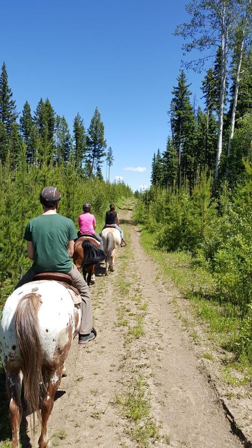 مبيت وإفطار Bridge Lake Wettstone Guest Ranch المظهر الخارجي الصورة