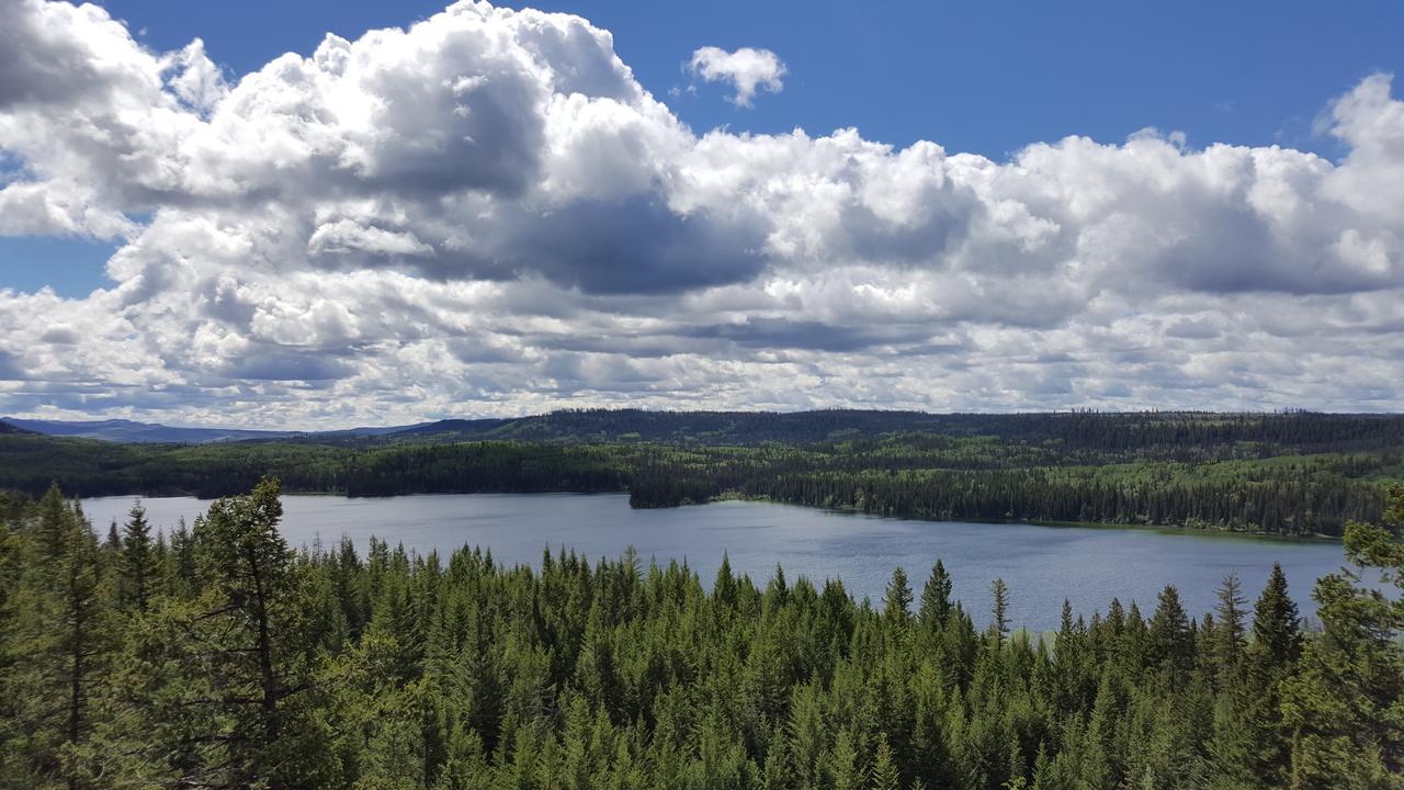 مبيت وإفطار Bridge Lake Wettstone Guest Ranch المظهر الخارجي الصورة