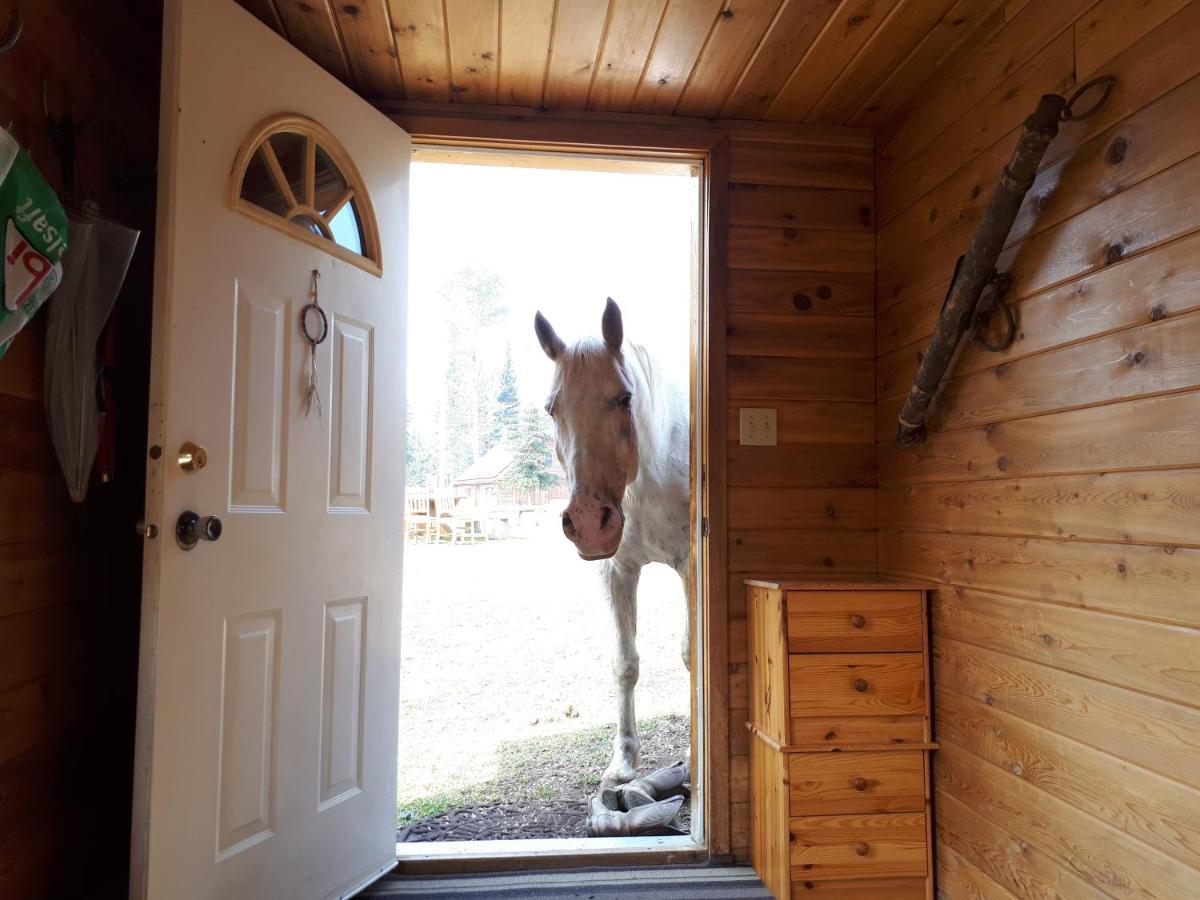 مبيت وإفطار Bridge Lake Wettstone Guest Ranch المظهر الخارجي الصورة