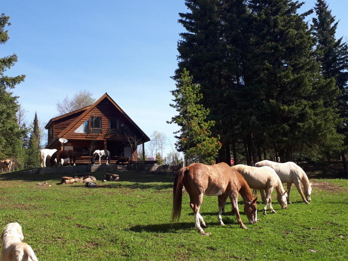 مبيت وإفطار Bridge Lake Wettstone Guest Ranch المظهر الخارجي الصورة