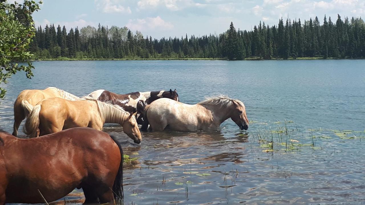 مبيت وإفطار Bridge Lake Wettstone Guest Ranch المظهر الخارجي الصورة